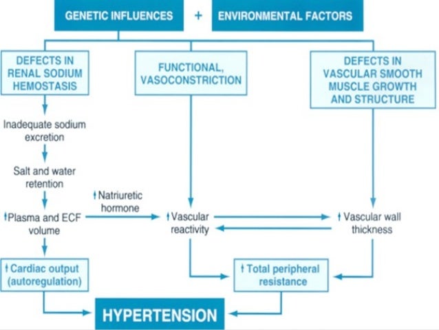 Hipotensi Ortostatik Gejala Penyebab Dan Mengobati Alodokter