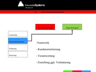 Niedriger Reifegrad Hoher Reifegrad - fehlende Prozessorientierung - vereinzelte Prozessverbesserungsinstrumente im Einsatz Leadership Unternehmenskultur Erfahrung Steuerung 