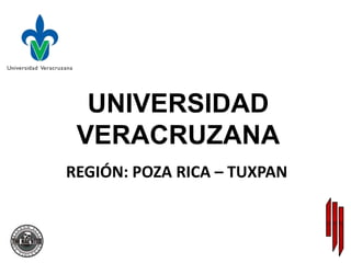 UNIVERSIDAD
 VERACRUZANA
REGIÓN: POZA RICA – TUXPAN
 