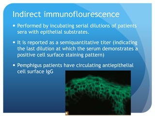 Indirect immunoflourescence
 Performed by incubating serial dilutions of patients
sera with epithelial substrates.
 It is reported as a semiquantitative titer (indicating
the last dilution at which the serum demonstrates a
positive cell surface staining pattern)
 Pemphigus patients have circulating antiepithelial
cell surface IgG
 