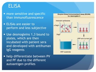 ELISA
 more sensitive and specific
than immunofluorescence
 ELISAs are easier to
perform and less subjective
 Use desmogleins 1,3 bound to
plates, which are then
incubated with patient sera
and developed with antihuman
IgG reagents
 help differentiate between PV
and PF due to the different
autoantigen profiles
 
