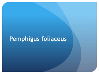 Pemphigus foliaceus
 