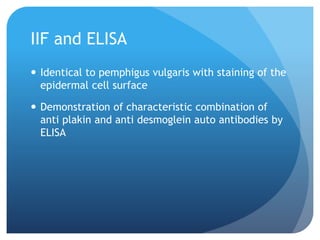 IIF and ELISA
 Identical to pemphigus vulgaris with staining of the
epidermal cell surface
 Demonstration of characteristic combination of
anti plakin and anti desmoglein auto antibodies by
ELISA
 