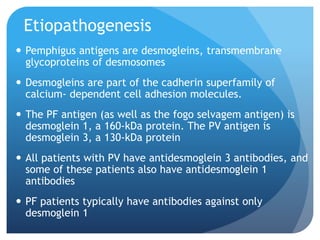Etiopathogenesis
 Pemphigus antigens are desmogleins, transmembrane
glycoproteins of desmosomes
 Desmogleins are part of the cadherin superfamily of
calcium- dependent cell adhesion molecules.
 The PF antigen (as well as the fogo selvagem antigen) is
desmoglein 1, a 160-kDa protein. The PV antigen is
desmoglein 3, a 130-kDa protein
 All patients with PV have antidesmoglein 3 antibodies, and
some of these patients also have antidesmoglein 1
antibodies
 PF patients typically have antibodies against only
desmoglein 1
 