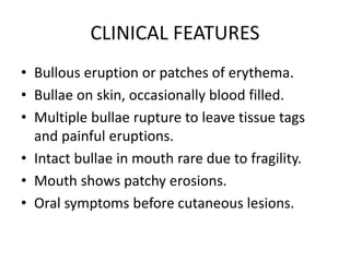 CLINICAL FEATURES
• Bullous eruption or patches of erythema.
• Bullae on skin, occasionally blood filled.
• Multiple bullae rupture to leave tissue tags
and painful eruptions.
• Intact bullae in mouth rare due to fragility.
• Mouth shows patchy erosions.
• Oral symptoms before cutaneous lesions.
 