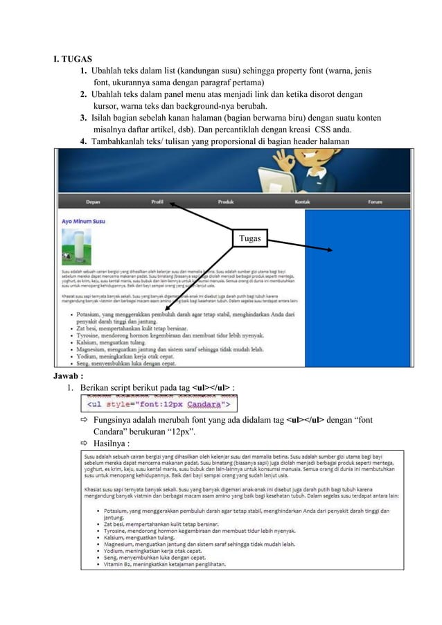 Membuat Web Sederhana Dengan CSS (Cascading Style Sheets) | PDF