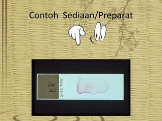 Contoh Sediaan/Preparat

 