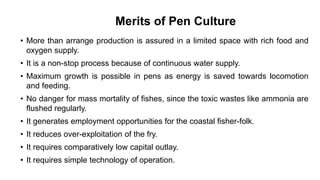 Merits of Pen Culture
• More than arrange production is assured in a limited space with rich food and
oxygen supply.
• It is a non-stop process because of continuous water supply.
• Maximum growth is possible in pens as energy is saved towards locomotion
and feeding.
• No danger for mass mortality of fishes, since the toxic wastes like ammonia are
flushed regularly.
• It generates employment opportunities for the coastal fisher-folk.
• It reduces over-exploitation of the fry.
• It requires comparatively low capital outlay.
• It requires simple technology of operation.
 
