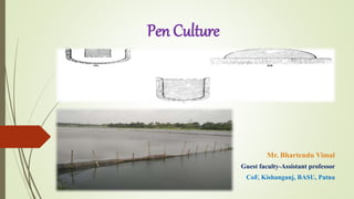 Pen Culture
Mr. Bhartendu Vimal
Guest faculty-Assistant professor
CoF, Kishanganj, BASU, Patna
 