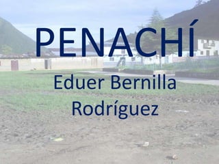 PENACHÍEduer Bernilla Rodríguez 