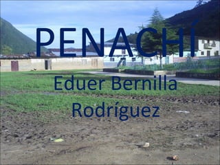 PENACHÍ Eduer Bernilla Rodríguez 