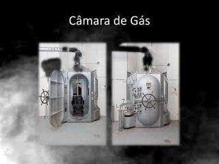 Câmara de Gás
 