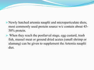Newly hatched artemia nauplii and microparticulate diets,
most commonly used protein source w/c contain about 45-
50% protein.
 When they reach the postlarval stage, egg custard, trash
fish, mussel meat or ground dried acetes (small shrimp or
alamang) can be given to supplement the Artemia nauplii
diet.
 