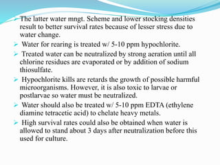  The latter water mngt. Scheme and lower stocking densities
result to better survival rates because of lesser stress due to
water change.
 Water for rearing is treated w/ 5-10 ppm hypochlorite.
 Treated water can be neutralized by strong aeration until all
chlorine residues are evaporated or by addition of sodium
thiosulfate.
 Hypochlorite kills are retards the growth of possible harmful
microorganisms. However, it is also toxic to larvae or
postlarvae so water must be neutralized.
 Water should also be treated w/ 5-10 ppm EDTA (ethylene
diamine tetracetic acid) to chelate heavy metals.
 High survival rates could also be obtained when water is
allowed to stand about 3 days after neutralization before this
used for culture.
 