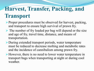 Harvest, Transfer, Packing, and
Transport
Proper procedures must be observed for harvest, packing,
and transport to ensure high survival of prawn fry.
 The number of fry loaded per bag will depend or the size
and age of fry, travel time, distance, and means of
transportation.
During extended transport periods, water temperature
must be reduced to decrease molting and metabolic rates
and the incidence of cannibalism among prawn fry.
However, there is no need to lower water temperature in
transport bags when transporting at night or during cool
weather.
 
