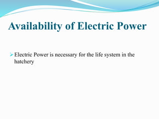 Availability of Electric Power
Electric Power is necessary for the life system in the
hatchery
 