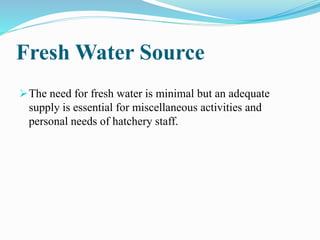 Fresh Water Source
The need for fresh water is minimal but an adequate
supply is essential for miscellaneous activities and
personal needs of hatchery staff.
 