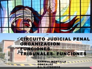 CIRCUITO JUDICIAL PENAL
ORGANIZACION
FUNCIONES
TRIBUNALES- FUNCIONES
MARIELL MONTILLA
GONZALEZ
C.I. V-17203215
 