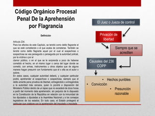 Código Orgánico Procesal
Penal De la Aprehensión
por Flagrancia
Definición
Artículo 234.
Para los efectos de este Capítulo, se tendrá como delito flagrante el
que se esté cometiendo o el que acaba de cometerse. También se
tendrá como delito flagrante aquel por el cual el sospechoso o
sospechosa se vea perseguido o perseguida por la autoridad policial,
por la víctima o por el
clamor público, o en el que se le sorprenda a poco de haberse
cometido el hecho, en el mismo lugar o cerca del lugar donde se
cometió, con armas, instrumentos u otros objetos que de alguna
manera hagan presumir con fundamento que el o ella es el autor o
autora.
En estos casos, cualquier autoridad deberá, y cualquier particular
podrá, aprehender al sospechoso o sospechosa, siempre que el
delito amerite pena privativa de libertad, entregándolo o entregándola
a la autoridad más cercana, quien lo pondrá a disposición del
Ministerio Público dentro de un lapso que no excederá de doce horas
a partir del momento dela aprehensión, sin perjuicio de lo dispuesto
en la Constitución de la República en relación con la inmunidad de
los diputados o diputadas a la Asamblea Nacional y a los consejos
legislativos de los estados. En todo caso, el Estado protegerá al
particular que colabore con la aprehensión del imputado o imputada
El Juez o Jueza de control
Privación de
libertad
Siempre que se
acrediten
Causales del 236
COPP
• Hechos punibles
• Convicción
• Presunción
razonable
 