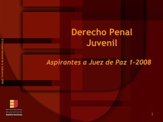© Esscuela Nacional de la Judicatura, 2008 Derecho Penal Juvenil Aspirantes a Juez de Paz 1-2008 