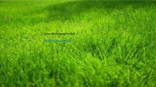 Estas en el siguiente nivel
Hunde aca para seguir
 