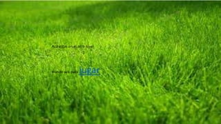 Acá estas en el otro nivel
Hunde acá para jugar
 