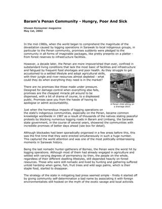 Baram's Penan Community - Hungry, Poor And Sick
Utusan Konsumer magazine
May 1st, 2002




In the mid-1980s, when the world began to comprehend the magnitude of the
devastation caused by logging operations in Sarawak to local indigenous groups, in
particular to the Penan community, promises suddenly were pledged to the
community in all forms of imaginable packages, like pretty presents on a platter -
from forest reserves to infrastructure facilities.

However, a decade later, the Penan are more impoverished than ever, confined in
substandard living conditions that lack the most basic of facilities and infrastructure
and fatigued by frequent food shortages and poor health. As they struggle to get
accustomed to a settled lifestyle and adopt agricultural skills,
with their jungle and river resources almost depleted - what
could they do when everything they need is in the market?

There are no promises like those made under pressure.
Designed for damage-control when everything else fails,
promises are the cheapest miracle pill around to be
dispensed, with a bit of drama of course, to a displeased
public. Promises save you from the hassle of having to
apologise or admit accountability.                                 A Penan child sitting on
                                                                      a drainage ditch.
Just when the horrendous impacts of logging operations on
the state's indigenous communities, especially on the Penan, became common
knowledge worldwide in 1987 as a result of thousands of the natives stating peaceful
protests by blocking numerous logging roads in Baram and Limbang, the Sarawak
state government, in the course of several years, showered the communities with
incredible promises of better days ahead (see box for detail).

Although blockades had been sporadically organised in a few areas before this, this
was the first time that they were erected simultaneously in such a huge number.
This captured the world attention and was one of the most politically embarrassing
moments in Sarawak history.

Being the last nomadic hunter-gatherers of Borneo, the Penan were the worst hit by
logging operations. Although most of them had already engaged in agriculture and
settled with varying degrees of permanency by then, the people on the whole,
regardless of their different dwelling lifestyles, still depended heavily on forest
resources. Those who were still nomadic and lived by hunting and gathering suffered
untold hardship when game, fish, fruit trees and wild sago palms, which is their
staple food, started to disappear.

The strategy of the state in mitigating bad press seemed simple - firstly it started off
by giving community self-determination a bad name by associating it with foreign
environmentalists still hooked on the myth of the exotic savage and local activists
 