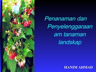 Penanaman dan  Penyelenggaraan am tanaman landskap HANIM AHMAD 