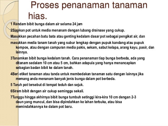Proses Penanaman iTanamani iHiasi Proses Penanaman iTanamani iHiasi