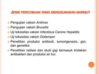 JENIS PERCOBAAN YANG MENGGUNAKAN MARMUT
 Pengujian vaksin Anthrax
 Pengujian vaksin Brucella
 Uji toksisitas vaksin Infectious Canine Hepatitis
 Uji toksisitas vaksin Distemper
 Penelitian produksi antibodi, tumorigenesis, gizi,
dan genetika
 Penelitian radiasi dan studi gigi termasuk tindakan
antibakteri dan produksi air liur.
 