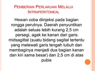PEMBERIAN PERLAKUAN MELALUI
INTRAPERITONEAL
Hewan coba diinjeksi pada bagian
rongga perutnya. Daerah penyuntikan
adalah seluas lebih kurang 2,5 cm
persegi, agak ke kanan dari garis
midsagittal (suatu bidang sagital tertentu
yang melewati garis tengah tubuh dan
membaginya menjadi dua bagian kanan
dan kiri sama besar) dan 2,5 cm di atas
pubis
 