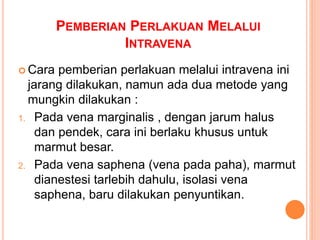 PEMBERIAN PERLAKUAN MELALUI
INTRAVENA
 Cara pemberian perlakuan melalui intravena ini
jarang dilakukan, namun ada dua metode yang
mungkin dilakukan :
1. Pada vena marginalis , dengan jarum halus
dan pendek, cara ini berlaku khusus untuk
marmut besar.
2. Pada vena saphena (vena pada paha), marmut
dianestesi tarlebih dahulu, isolasi vena
saphena, baru dilakukan penyuntikan.
 