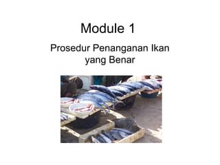 Module 1 
Prosedur Penanganan Ikan 
yang Benar 
 
