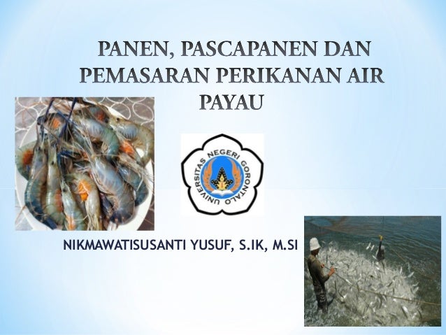 Penanganan Panen Dan Pasca Panen Air Payau