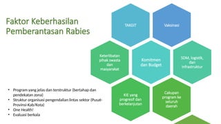 Penanganan rabies pada hewan sebagai implementasi one health dalam ...