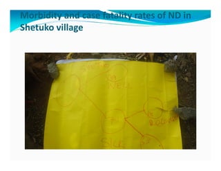 Participatory epidemiological studies of Newcastle disease in local chickens in federal capital territory, Abuja-Nigeria