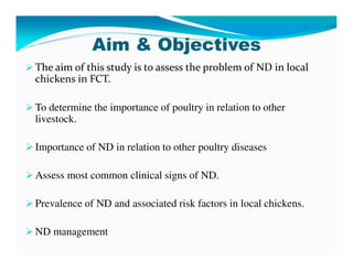 Participatory epidemiological studies of Newcastle disease in local chickens in federal capital territory, Abuja-Nigeria