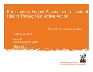 PENAPH – First technical workshop
12 December, 2012
Murad Ali
Senior Programme Officer,
Brooke India
Participatory Impact Assessment of Animal
Health Through Collective Action
 
