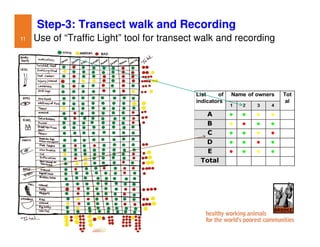 Participatory impact assessment of animal health through collective action