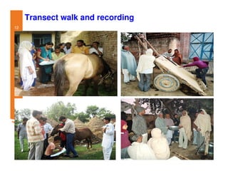 Participatory impact assessment of animal health through collective action