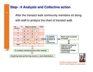 Participatory impact assessment of animal health through collective action