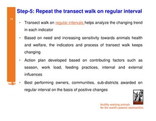 Participatory impact assessment of animal health through collective action