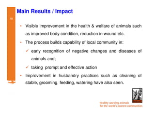 Participatory impact assessment of animal health through collective action