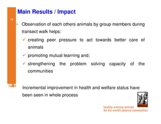 Participatory impact assessment of animal health through collective action