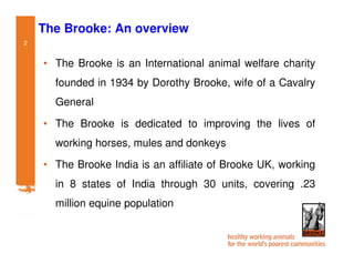 Participatory impact assessment of animal health through collective action