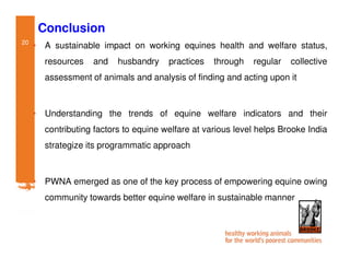Participatory impact assessment of animal health through collective action