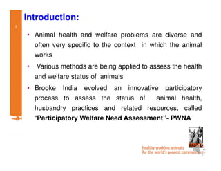 Participatory impact assessment of animal health through collective action