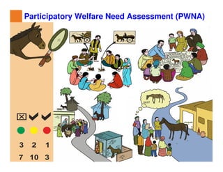 Participatory impact assessment of animal health through collective action