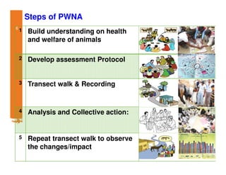 Participatory impact assessment of animal health through collective action