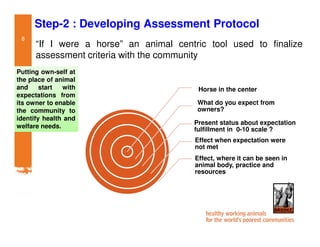 Participatory impact assessment of animal health through collective action